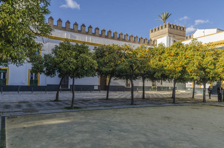 Sevilla 155 - Real Álcazar - Patio de Banderas.jpg